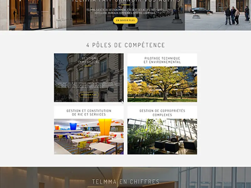 Screenshot of the Telmma website